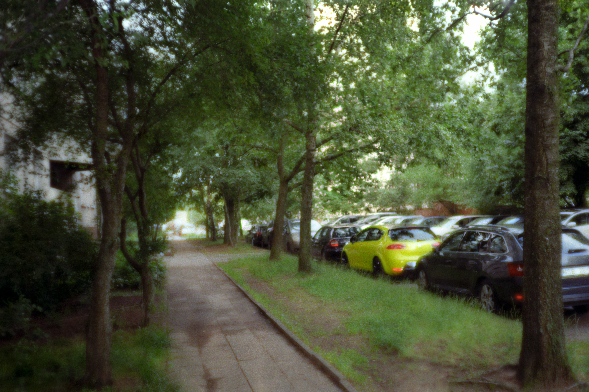 Don't dry your developed film with 99.9% isopropyl alcohol